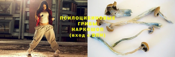 мяу мяу мука Алексеевка
