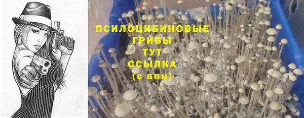 кристаллы Алексин