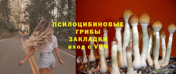 спиды Абаза