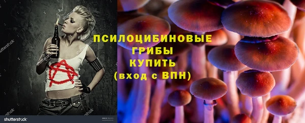 мяу мяу мука Алексеевка